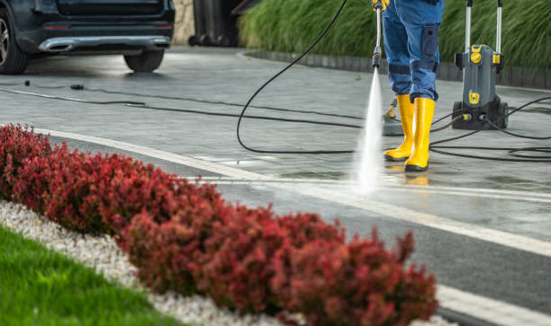 Animal Enclosure Cleaning in Cullowhee, NC